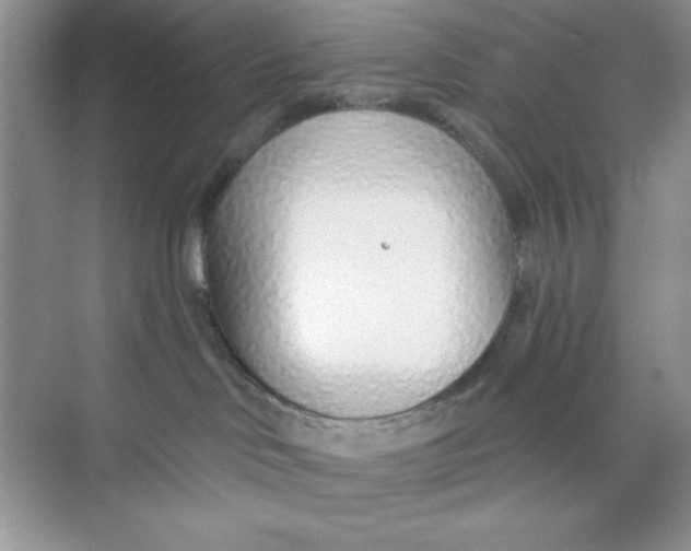 X0000073830046200608311920