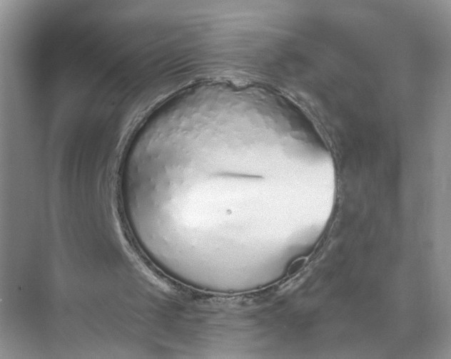 X0000073830049200608311919