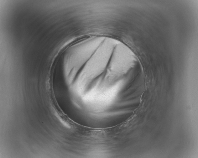 X0000073830050200608311919