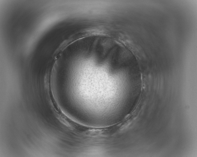 X0000073830052200608311919