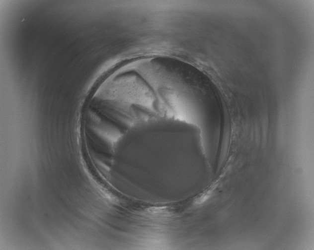 X0000073830054200608311919