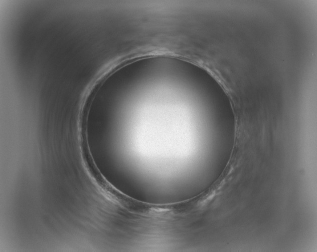 X0000073830055200608311919