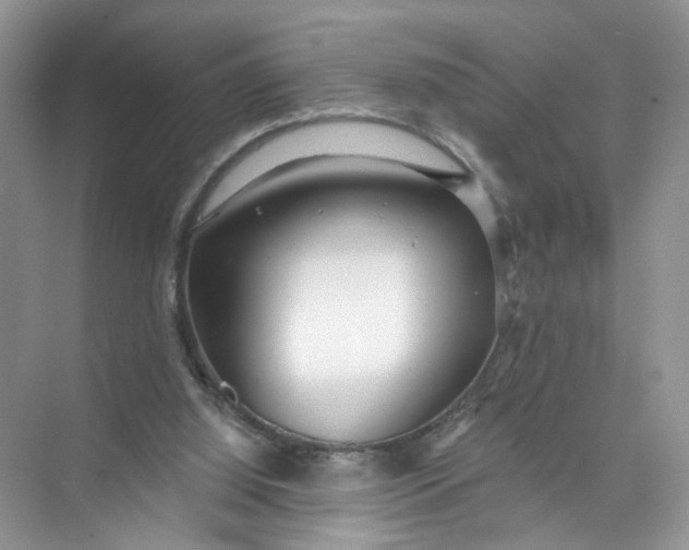 X0000073830060200608311919