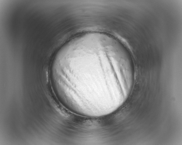 X0000073830061200608311919