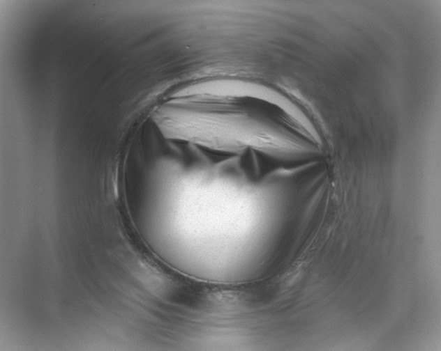 X0000073830062200608311919