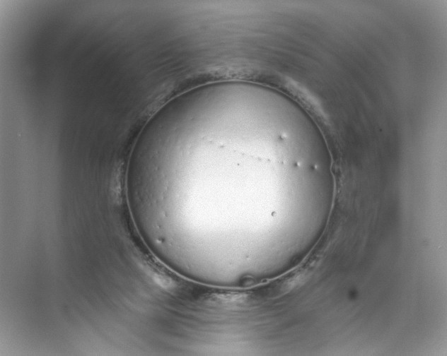 X0000073830065200608311919