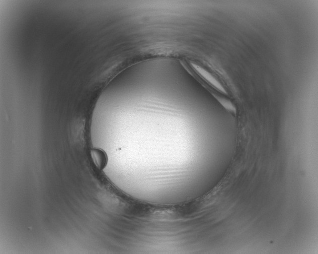 X0000073830066200608311919