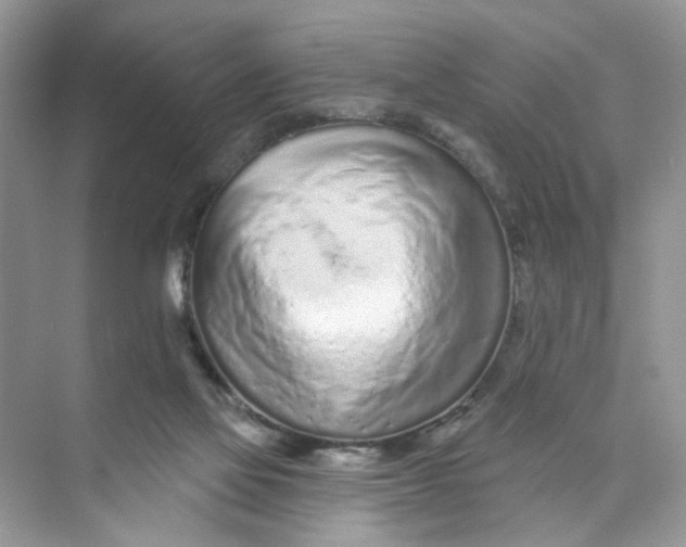 X0000073830069200608311919