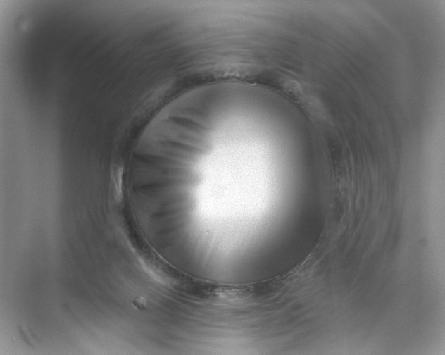 X0000073830070200608311919