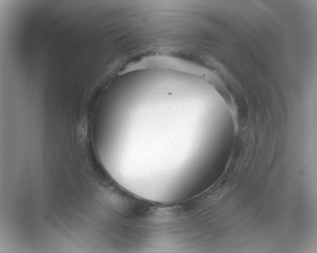 X0000073830072200608311919