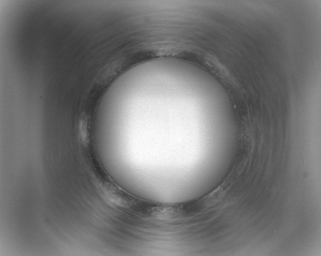 X0000073830074200608311919