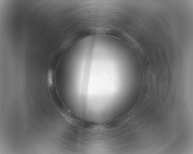 X0000073830075200608311919