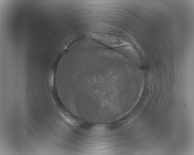 X0000073830076200608311919