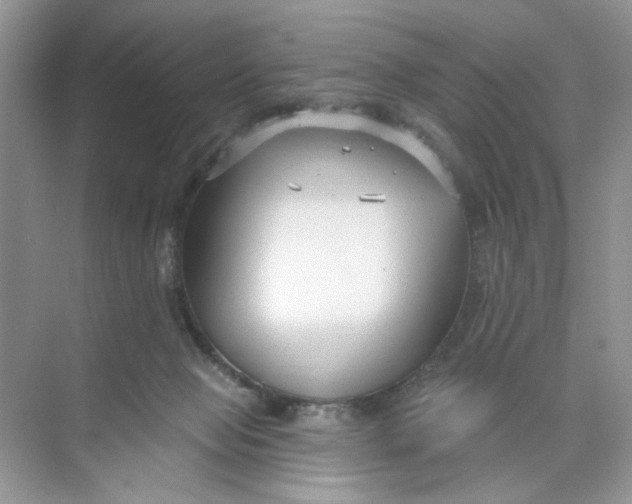 X0000073830077200608311919