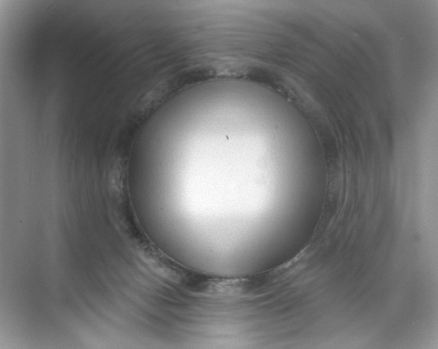 X0000073830078200608311919