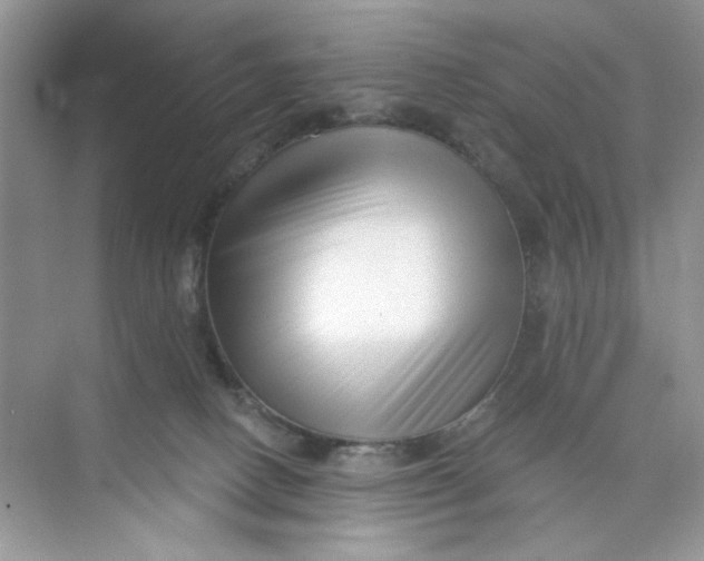 X0000073830082200608311920