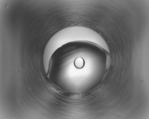 X0000073830084200608311920