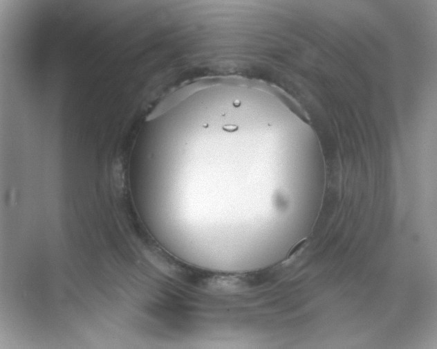 X0000073830086200608311920