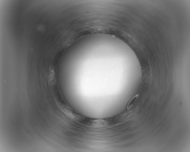 X0000073830087200608311920