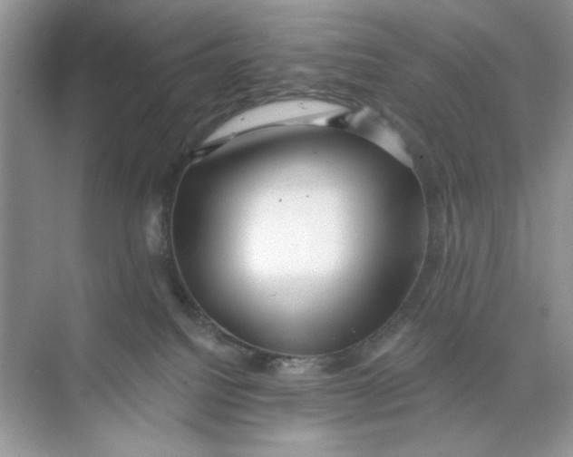 X0000073830088200608311920