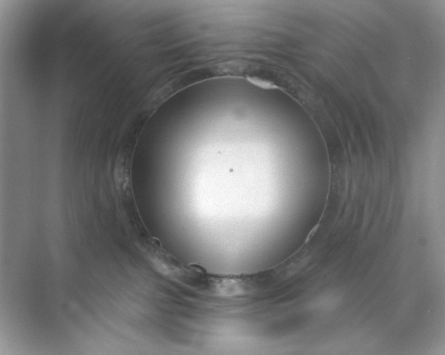 X0000073830091200608311920