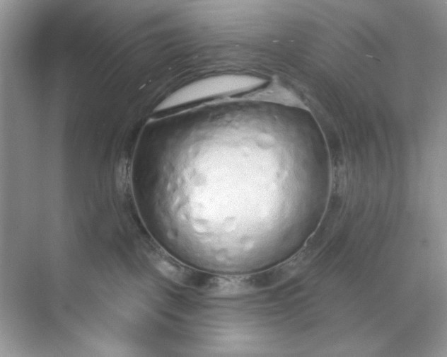 X0000073830093200608311920