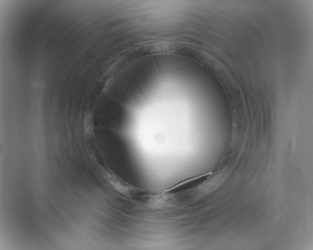 X0000073830096200608311920