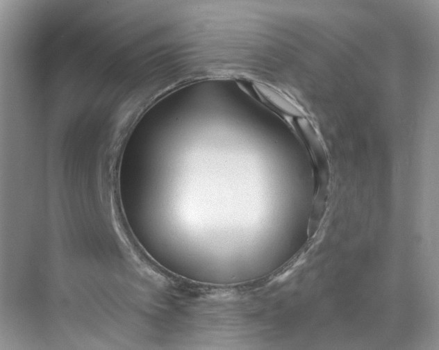 X0000073830097200608311919