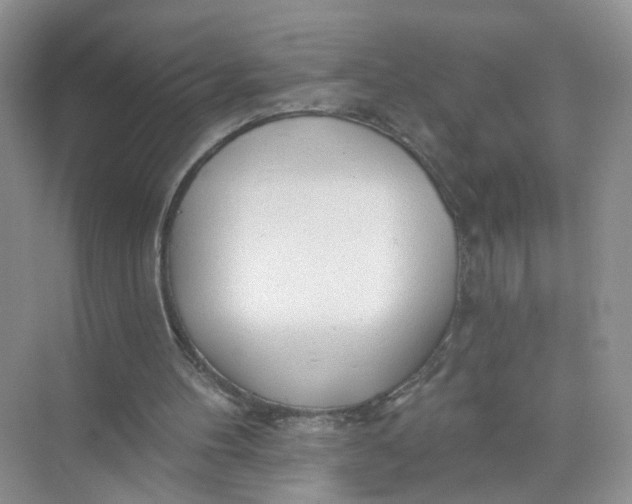 X0000073830100200608311919