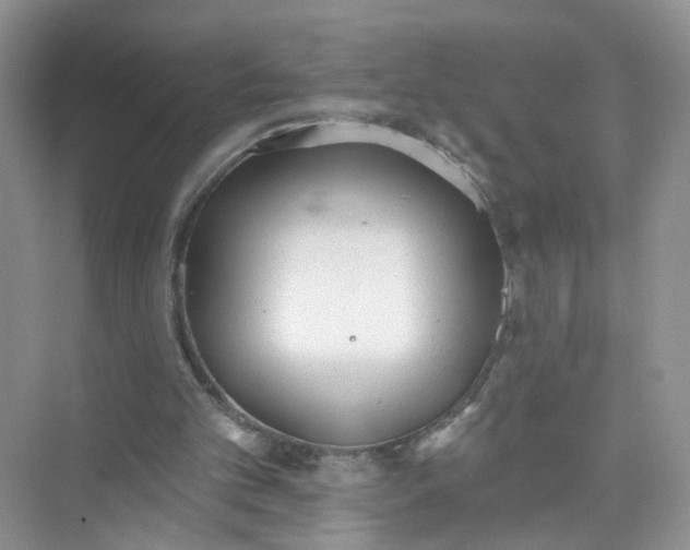 X0000073830101200608311919