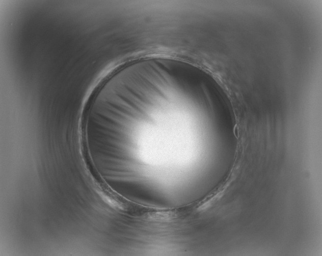 X0000073830102200608311919