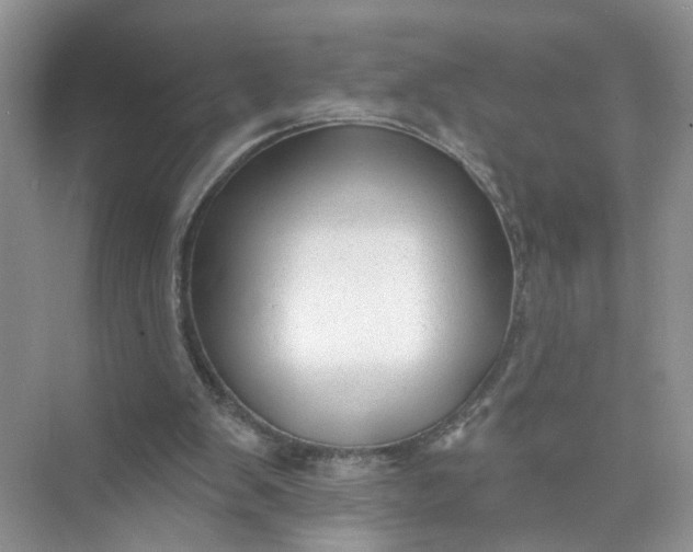 X0000073830103200608311919