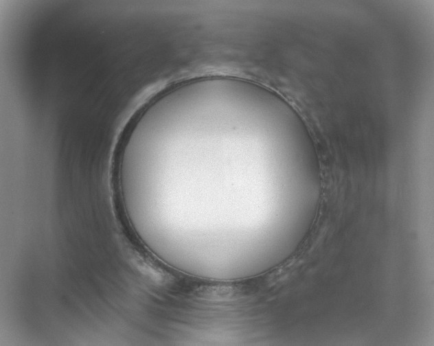 X0000073830104200608311919