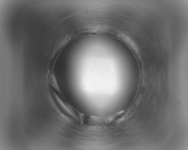 X0000073830105200608311919