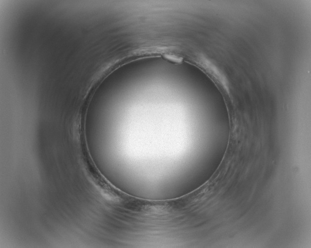 X0000073830107200608311919