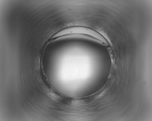 X0000073830109200608311919