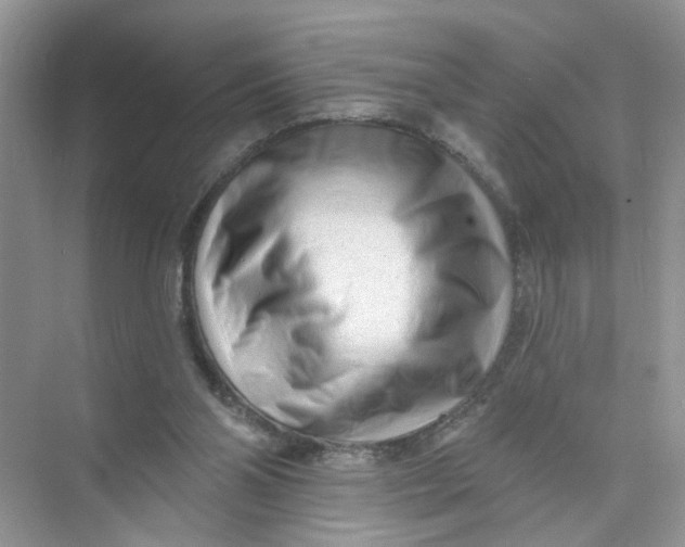 X0000073830110200608311919