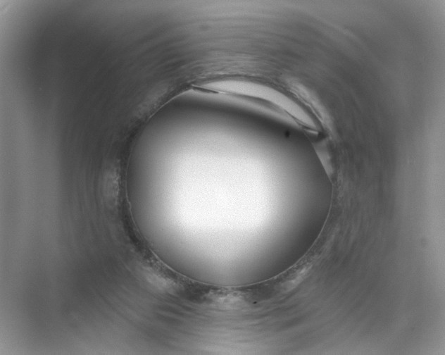 X0000073830113200608311919