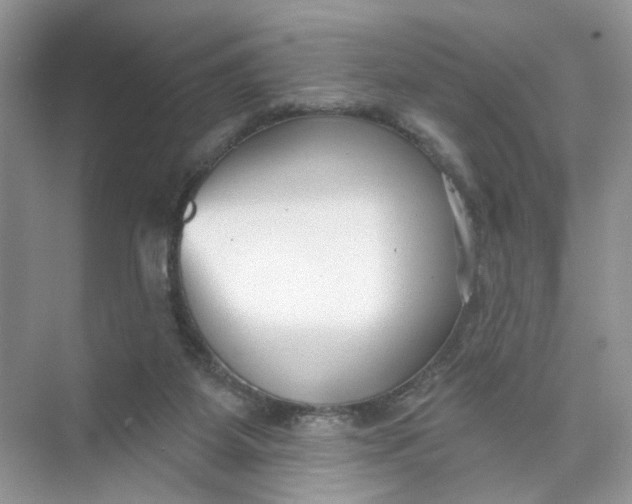 X0000073830115200608311919