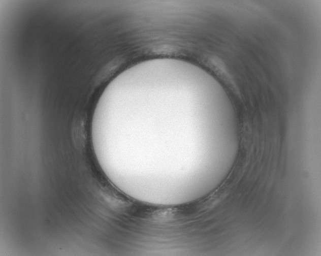 X0000073830116200608311919