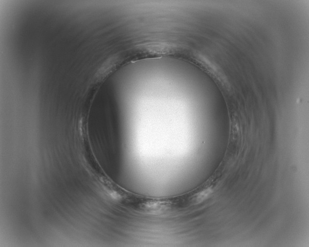 X0000073830117200608311919