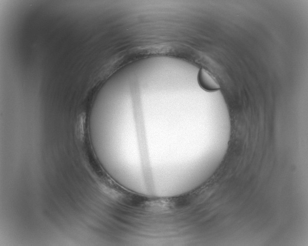 X0000073830118200608311919