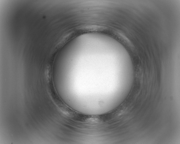 X0000073830119200608311919