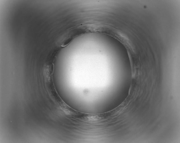 X0000073830121200608311919