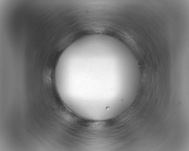 X0000073830122200608311919