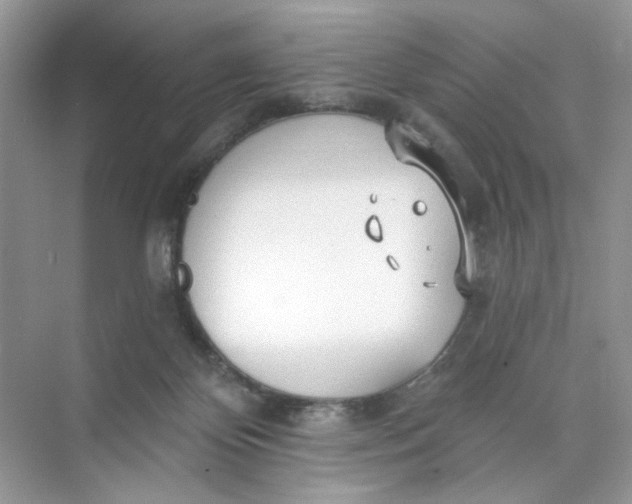 X0000073830124200608311919