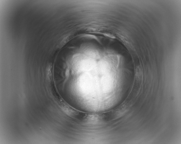 X0000073830127200608311918