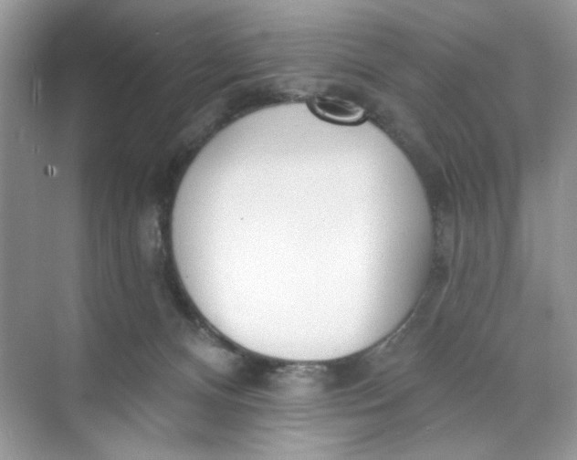 X0000073830128200608311918