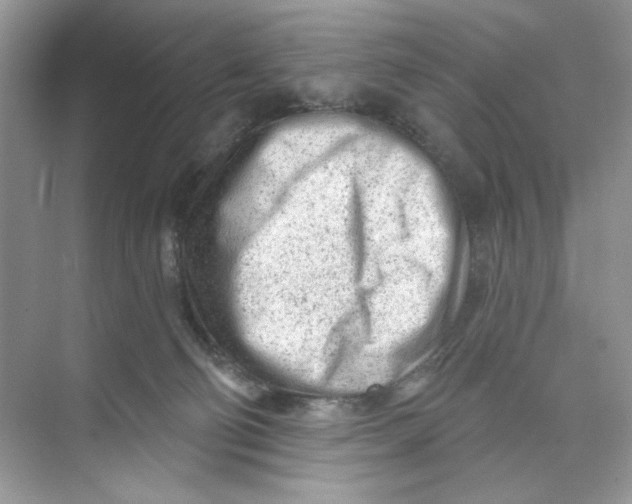 X0000073830130200608311918