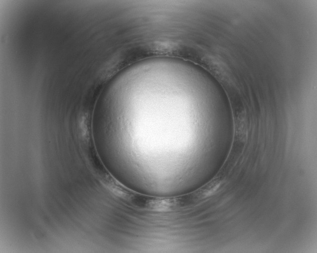 X0000073830131200608311918